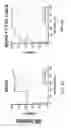 Fig. 10 - Predicting response to alvocidib by mitochondrial profiling