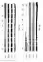 Fig. 15 - Predicting response to alvocidib by mitochondrial profiling