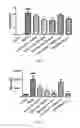 Fig. 07 - Methods and Compositions for Treating Idiopathic Pulmonary Fibrosis