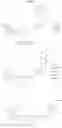Fig. 25 - Spirocyclic compounds as tryptophan hydroxylase inhibitors