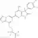Fig. 118 - Methods for using triazolo-pyrazinyl soluble guanylate cyclase activators in fibrotic disorders