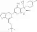 Fig. 195 - Methods for using triazolo-pyrazinyl soluble guanylate cyclase activators in fibrotic disorders