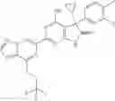 Fig. 196 - Methods for using triazolo-pyrazinyl soluble guanylate cyclase activators in fibrotic disorders