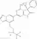 Fig. 227 - Methods for using triazolo-pyrazinyl soluble guanylate cyclase activators in fibrotic disorders