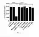 Fig. 07 - Method for prevention or treatment of diabetic complications