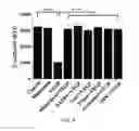 Fig. 10 - Method for prevention or treatment of diabetic complications