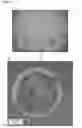 Fig. 04 - POLYMERIC EXTENDED RELEASE COMPOSITIONS OF HYDROXYPROGESTERONE CAPROATE AND METHODS OF USING SAME