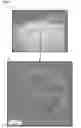 Fig. 06 - POLYMERIC EXTENDED RELEASE COMPOSITIONS OF HYDROXYPROGESTERONE CAPROATE AND METHODS OF USING SAME