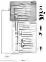 Fig. 05 - Drug target for treating veterinary infections and methods of using same