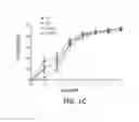 Fig. 03 - Methods for treatment of vascular endothelial dysfunction using nicotinamide mononucleotide