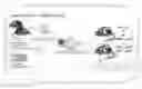 Fig. 01 - METHOD FOR PRODUCING FOUNDER ANIMAL FOR REPRODUCING ANIMAL HAVING LETHAL PHENOTYPE CAUSED BY GENE MODIFICATION
