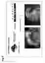 Fig. 10 - METHOD FOR PRODUCING FOUNDER ANIMAL FOR REPRODUCING ANIMAL HAVING LETHAL PHENOTYPE CAUSED BY GENE MODIFICATION