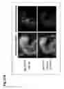 Fig. 13 - METHOD FOR PRODUCING FOUNDER ANIMAL FOR REPRODUCING ANIMAL HAVING LETHAL PHENOTYPE CAUSED BY GENE MODIFICATION
