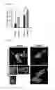 Fig. 05 - Nuclear paraspeckle assembly transcript 1 as therapeutic targeting in neurodegeneration