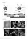 Fig. 10 - Nuclear paraspeckle assembly transcript 1 as therapeutic targeting in neurodegeneration