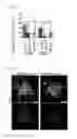 Fig. 17 - Nuclear paraspeckle assembly transcript 1 as therapeutic targeting in neurodegeneration
