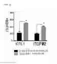 Fig. 30 - Nuclear paraspeckle assembly transcript 1 as therapeutic targeting in neurodegeneration