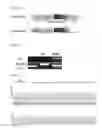 Fig. 31 - Nuclear paraspeckle assembly transcript 1 as therapeutic targeting in neurodegeneration