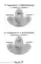 Fig. 10 - Compositions and methods for immune cell modulation in adoptive immunotherapies