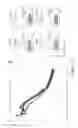 Fig. 14 - Compositions and methods for immune cell modulation in adoptive immunotherapies