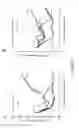 Fig. 19 - Compositions and methods for immune cell modulation in adoptive immunotherapies
