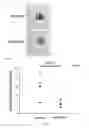 Fig. 10 - Methods for enhancing lifespan and/or treating cellular proliferative disorders by transplantation