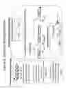 Fig. 06 - RECOMBINANT BACTERIA ENGINEERED TO TREAT DISEASES AND DISORDERS ASSOCIATED WITH AMINO ACID METABOLISM AND METHODS OF USE THEREOF