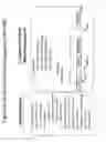 Fig. 07 - RECOMBINANT BACTERIA ENGINEERED TO TREAT DISEASES AND DISORDERS ASSOCIATED WITH AMINO ACID METABOLISM AND METHODS OF USE THEREOF