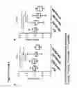 Fig. 101 - RECOMBINANT BACTERIA ENGINEERED TO TREAT DISEASES AND DISORDERS ASSOCIATED WITH AMINO ACID METABOLISM AND METHODS OF USE THEREOF