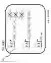 Fig. 114 - RECOMBINANT BACTERIA ENGINEERED TO TREAT DISEASES AND DISORDERS ASSOCIATED WITH AMINO ACID METABOLISM AND METHODS OF USE THEREOF