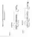 Fig. 13 - RECOMBINANT BACTERIA ENGINEERED TO TREAT DISEASES AND DISORDERS ASSOCIATED WITH AMINO ACID METABOLISM AND METHODS OF USE THEREOF