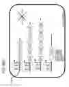 Fig. 130 - RECOMBINANT BACTERIA ENGINEERED TO TREAT DISEASES AND DISORDERS ASSOCIATED WITH AMINO ACID METABOLISM AND METHODS OF USE THEREOF