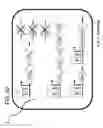 Fig. 137 - RECOMBINANT BACTERIA ENGINEERED TO TREAT DISEASES AND DISORDERS ASSOCIATED WITH AMINO ACID METABOLISM AND METHODS OF USE THEREOF