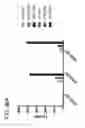 Fig. 145 - RECOMBINANT BACTERIA ENGINEERED TO TREAT DISEASES AND DISORDERS ASSOCIATED WITH AMINO ACID METABOLISM AND METHODS OF USE THEREOF