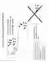 Fig. 16 - RECOMBINANT BACTERIA ENGINEERED TO TREAT DISEASES AND DISORDERS ASSOCIATED WITH AMINO ACID METABOLISM AND METHODS OF USE THEREOF