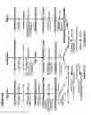 Fig. 29 - RECOMBINANT BACTERIA ENGINEERED TO TREAT DISEASES AND DISORDERS ASSOCIATED WITH AMINO ACID METABOLISM AND METHODS OF USE THEREOF