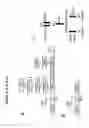 Fig. 40 - RECOMBINANT BACTERIA ENGINEERED TO TREAT DISEASES AND DISORDERS ASSOCIATED WITH AMINO ACID METABOLISM AND METHODS OF USE THEREOF