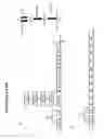 Fig. 41 - RECOMBINANT BACTERIA ENGINEERED TO TREAT DISEASES AND DISORDERS ASSOCIATED WITH AMINO ACID METABOLISM AND METHODS OF USE THEREOF
