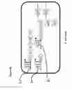 Fig. 42 - RECOMBINANT BACTERIA ENGINEERED TO TREAT DISEASES AND DISORDERS ASSOCIATED WITH AMINO ACID METABOLISM AND METHODS OF USE THEREOF