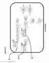 Fig. 44 - RECOMBINANT BACTERIA ENGINEERED TO TREAT DISEASES AND DISORDERS ASSOCIATED WITH AMINO ACID METABOLISM AND METHODS OF USE THEREOF