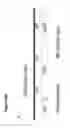 Fig. 48 - RECOMBINANT BACTERIA ENGINEERED TO TREAT DISEASES AND DISORDERS ASSOCIATED WITH AMINO ACID METABOLISM AND METHODS OF USE THEREOF