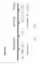 Fig. 49 - RECOMBINANT BACTERIA ENGINEERED TO TREAT DISEASES AND DISORDERS ASSOCIATED WITH AMINO ACID METABOLISM AND METHODS OF USE THEREOF