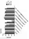 Fig. 51 - RECOMBINANT BACTERIA ENGINEERED TO TREAT DISEASES AND DISORDERS ASSOCIATED WITH AMINO ACID METABOLISM AND METHODS OF USE THEREOF