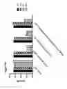 Fig. 52 - RECOMBINANT BACTERIA ENGINEERED TO TREAT DISEASES AND DISORDERS ASSOCIATED WITH AMINO ACID METABOLISM AND METHODS OF USE THEREOF