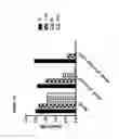 Fig. 56 - RECOMBINANT BACTERIA ENGINEERED TO TREAT DISEASES AND DISORDERS ASSOCIATED WITH AMINO ACID METABOLISM AND METHODS OF USE THEREOF