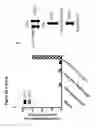 Fig. 67 - RECOMBINANT BACTERIA ENGINEERED TO TREAT DISEASES AND DISORDERS ASSOCIATED WITH AMINO ACID METABOLISM AND METHODS OF USE THEREOF
