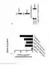 Fig. 68 - RECOMBINANT BACTERIA ENGINEERED TO TREAT DISEASES AND DISORDERS ASSOCIATED WITH AMINO ACID METABOLISM AND METHODS OF USE THEREOF