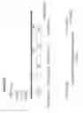 Fig. 78 - RECOMBINANT BACTERIA ENGINEERED TO TREAT DISEASES AND DISORDERS ASSOCIATED WITH AMINO ACID METABOLISM AND METHODS OF USE THEREOF