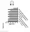 Fig. 80 - RECOMBINANT BACTERIA ENGINEERED TO TREAT DISEASES AND DISORDERS ASSOCIATED WITH AMINO ACID METABOLISM AND METHODS OF USE THEREOF