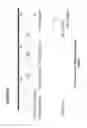 Fig. 82 - RECOMBINANT BACTERIA ENGINEERED TO TREAT DISEASES AND DISORDERS ASSOCIATED WITH AMINO ACID METABOLISM AND METHODS OF USE THEREOF